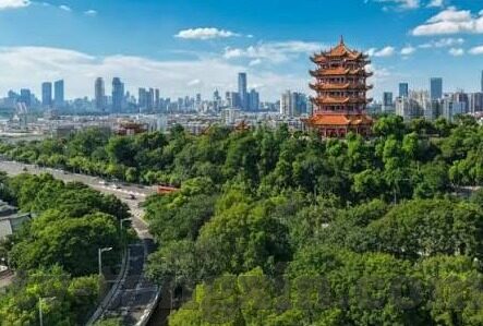 国产欧美日韩一区二区三区-国产与海外影视的多元化探索，一区二区三区的文化交融