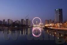 泷泽萝拉中文字幕-泷泽萝拉，中文字幕下的情感交织与文化碰撞