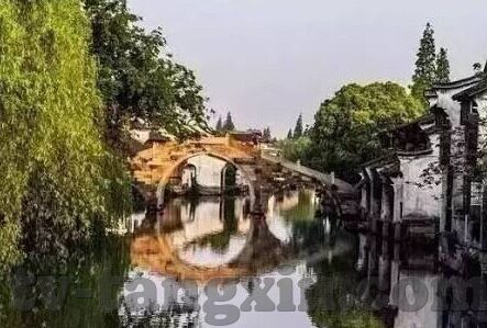 糖心vlog芋圆-魅力芋圆与甜蜜糖心的日常，解锁短片Vlog新篇章